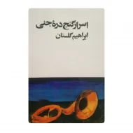 کتاب اسرار گنج دره جنی فروشگاه آنلاین کتاب آیین